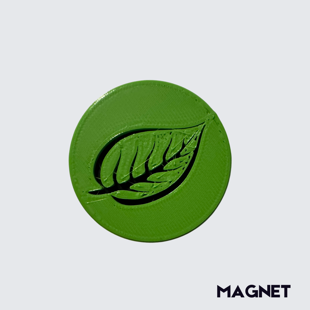 Pins & Magnets