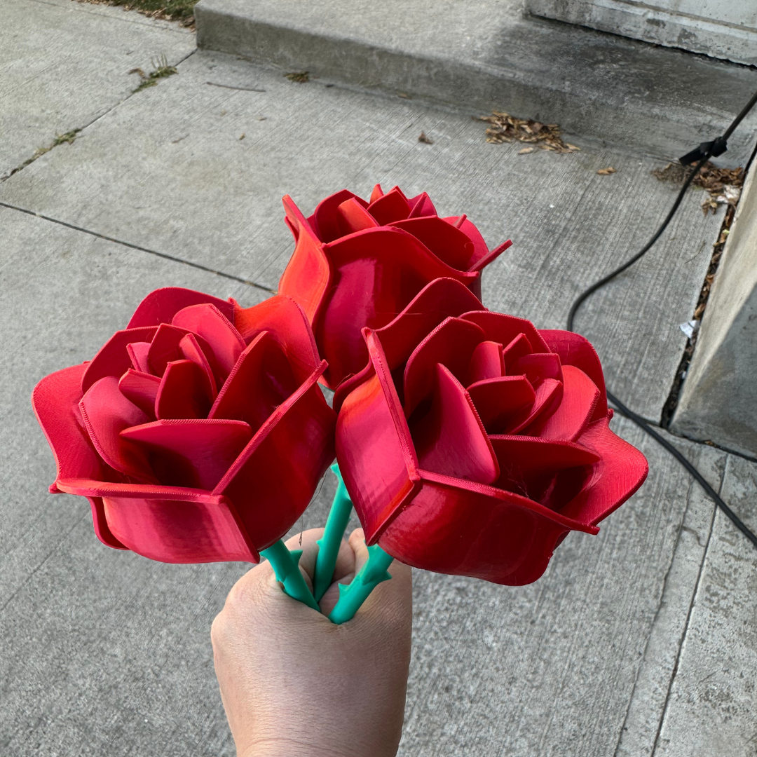 3D printed Roses