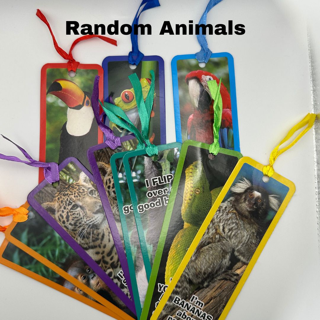 Paper Bookmarks