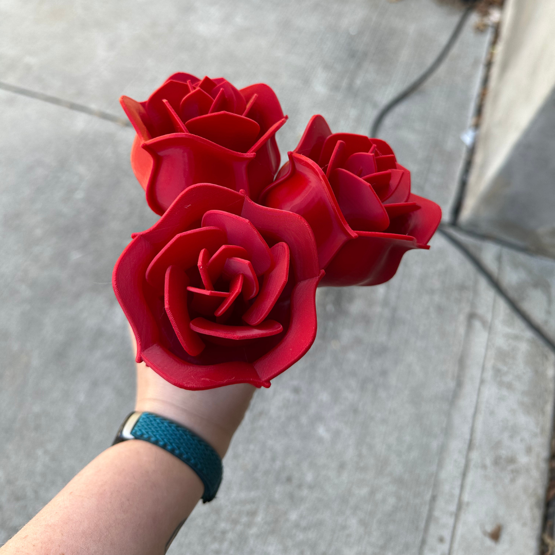 3D printed Roses