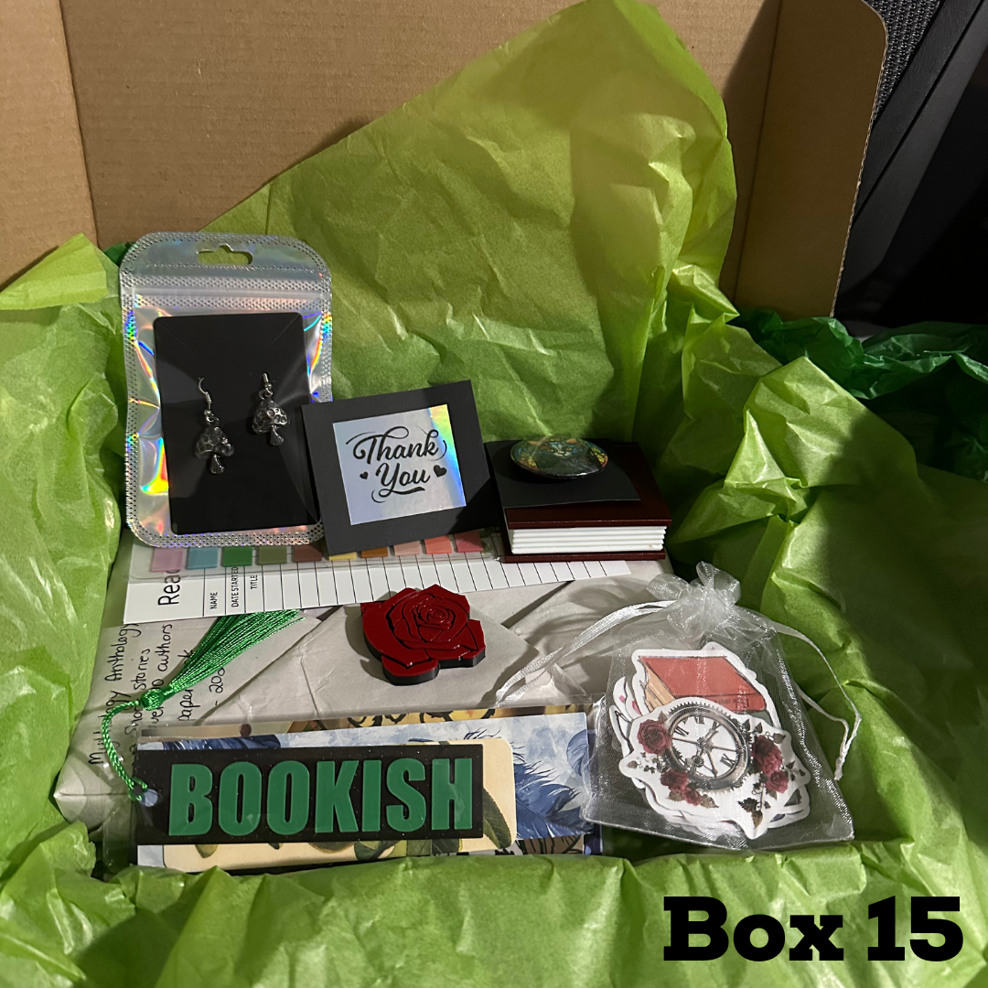 Mystery Book Box