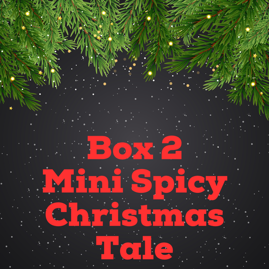 Christmas Mystery Box Boxes