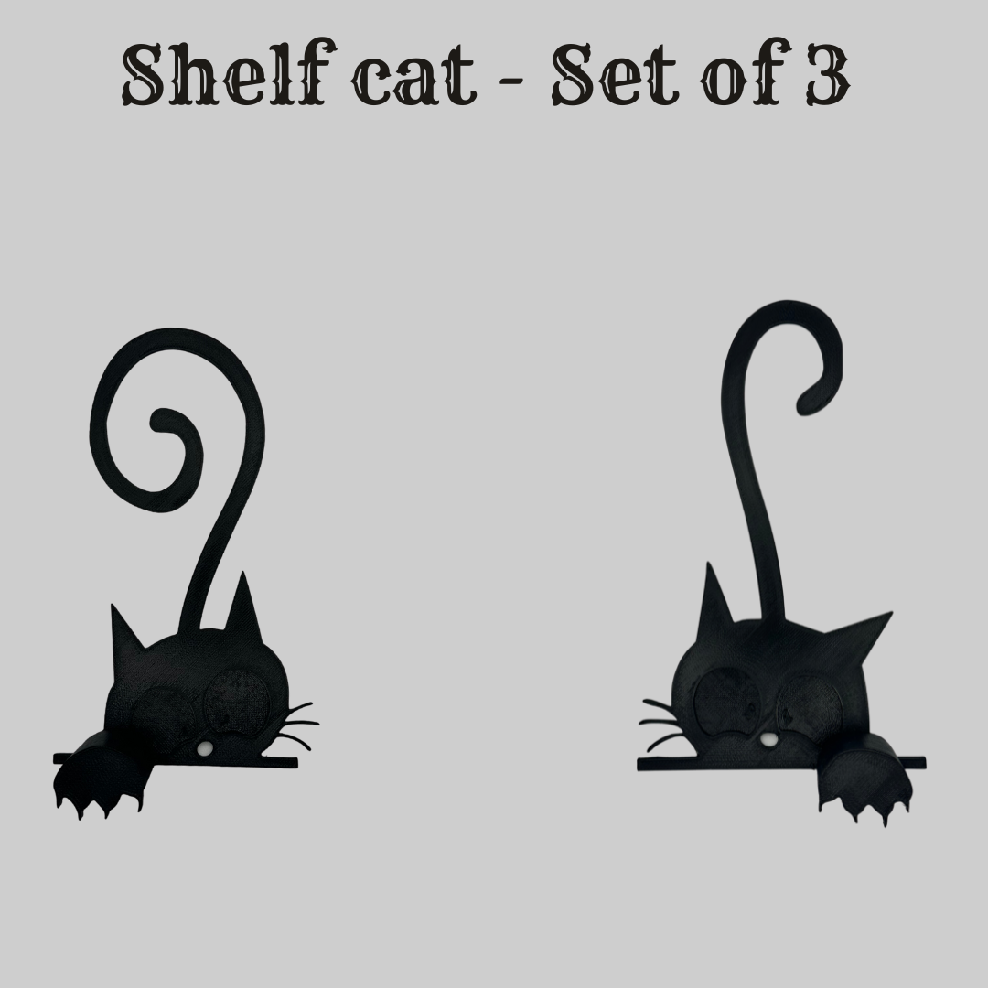 Shelf Cat