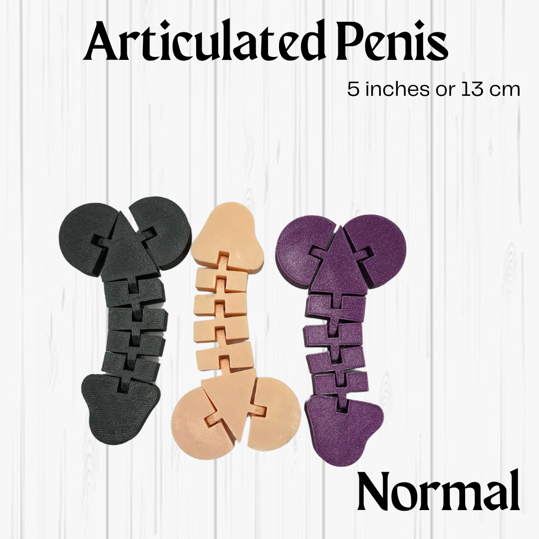 Articulated Penis