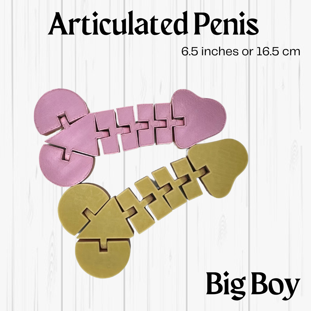 Articulated Penis