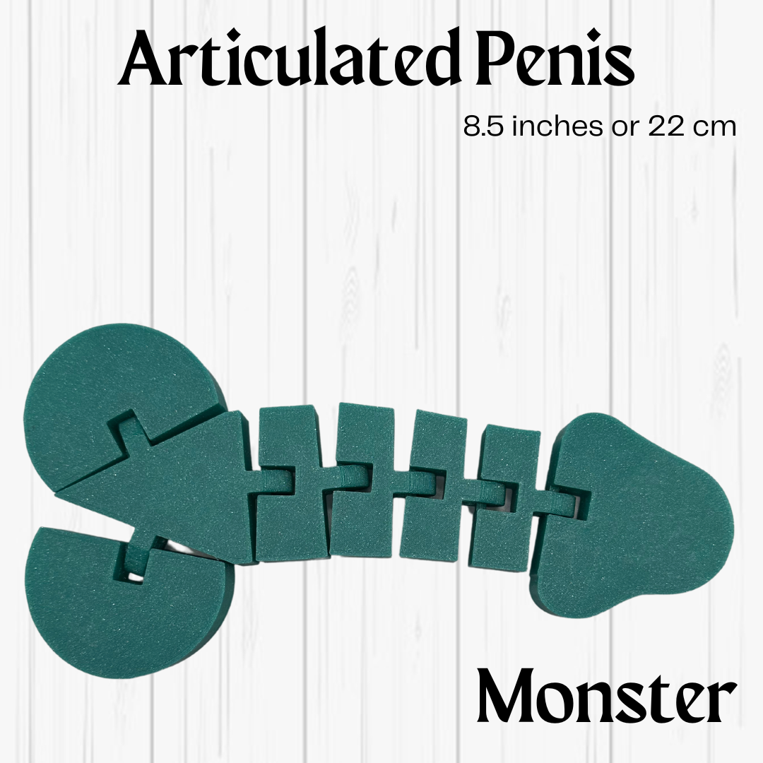 Articulated Penis