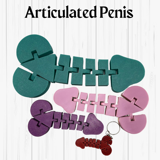 Articulated Penis