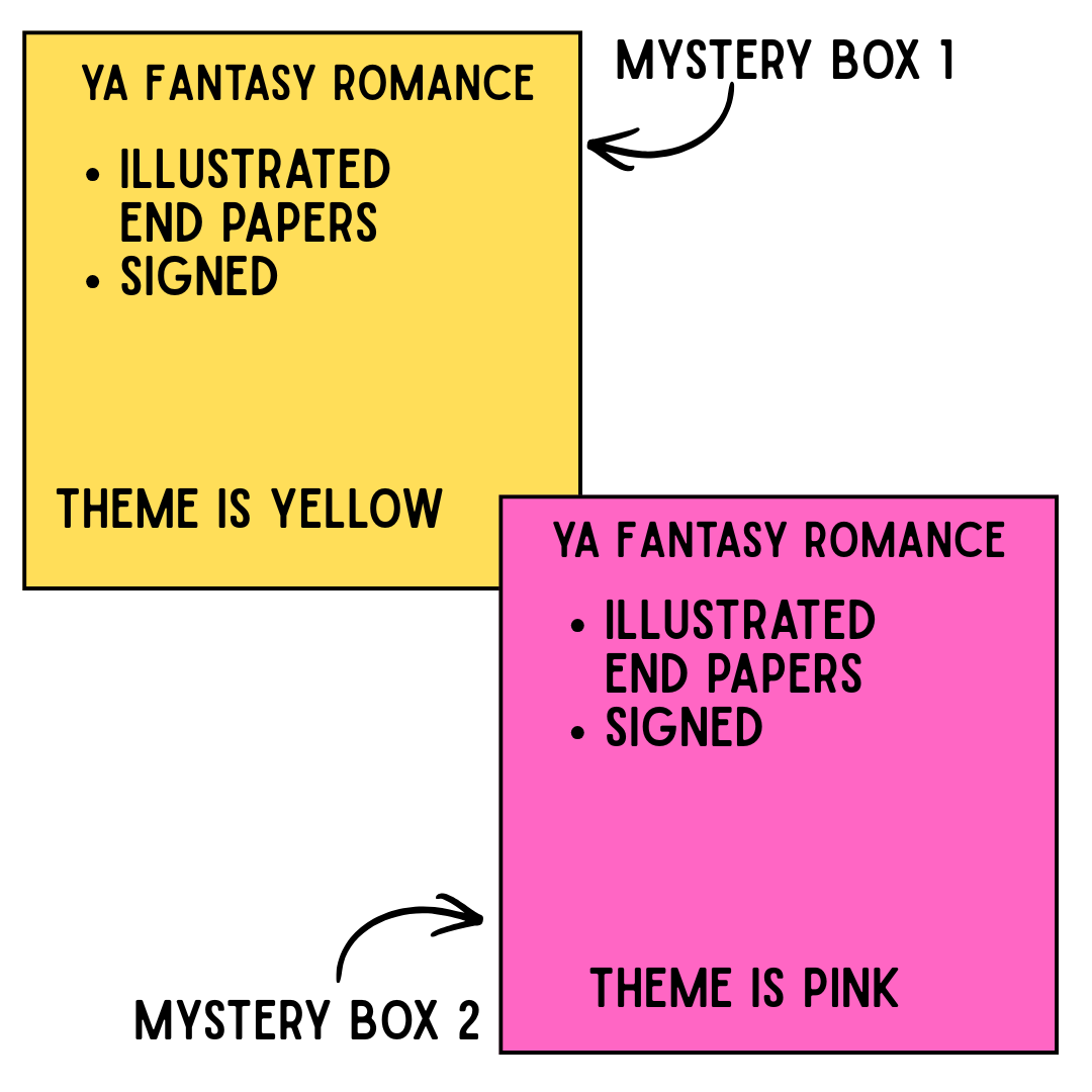 DELUXE Mystery Book Boxes