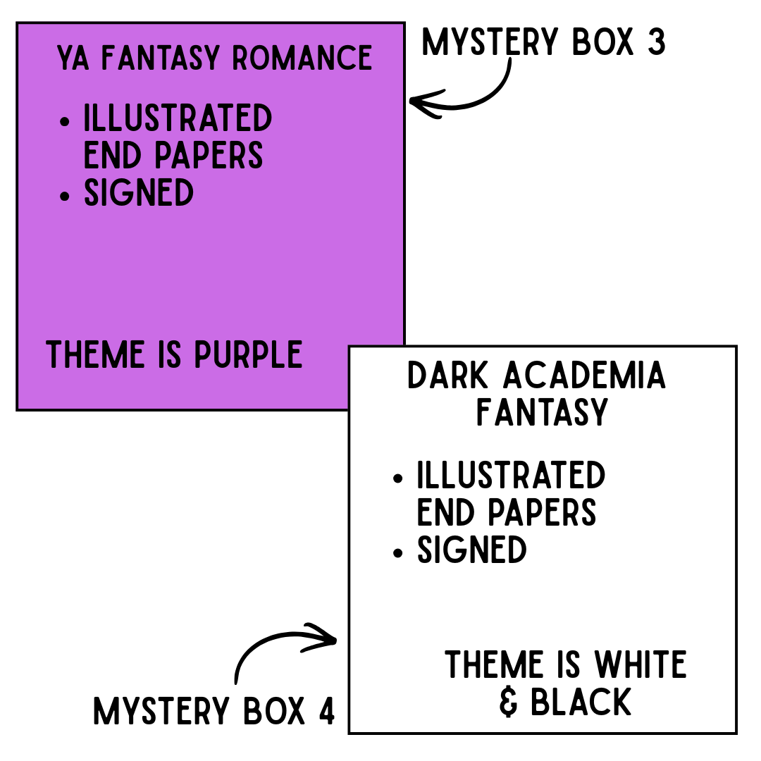 DELUXE Mystery Book Boxes