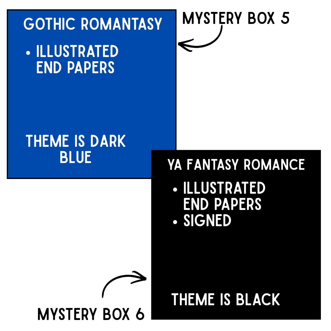 DELUXE Mystery Book Boxes
