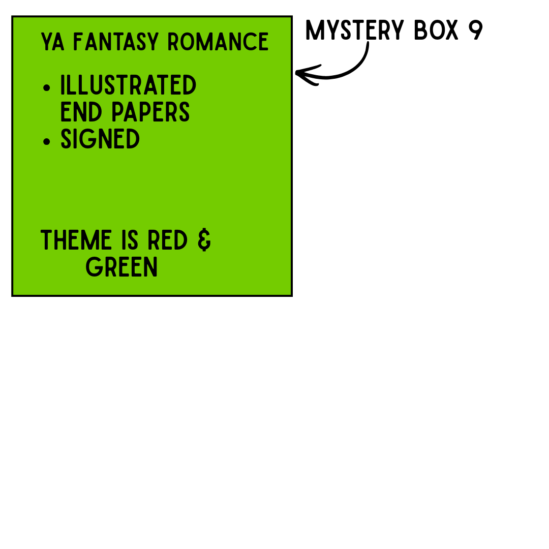 DELUXE Mystery Book Boxes