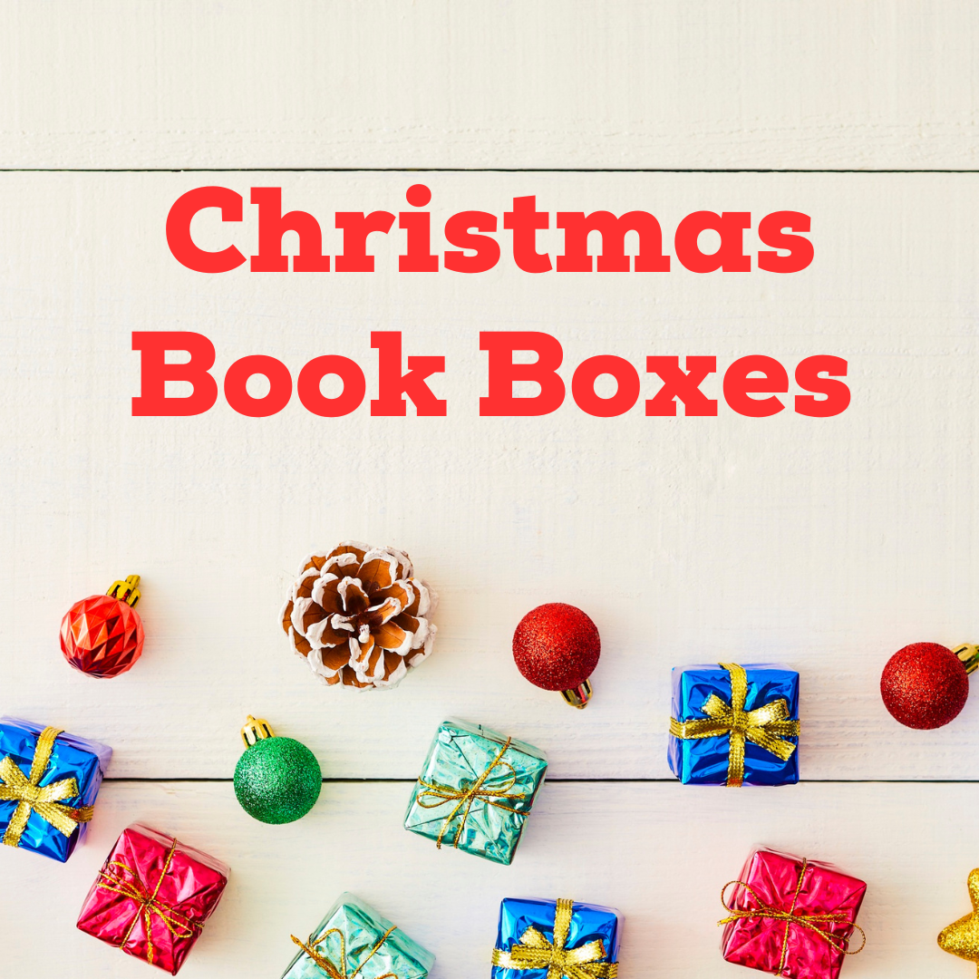 Christmas Mystery Box Boxes