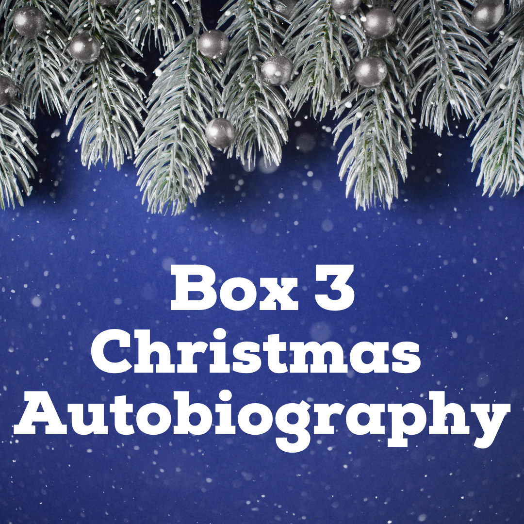 Christmas Mystery Box Boxes