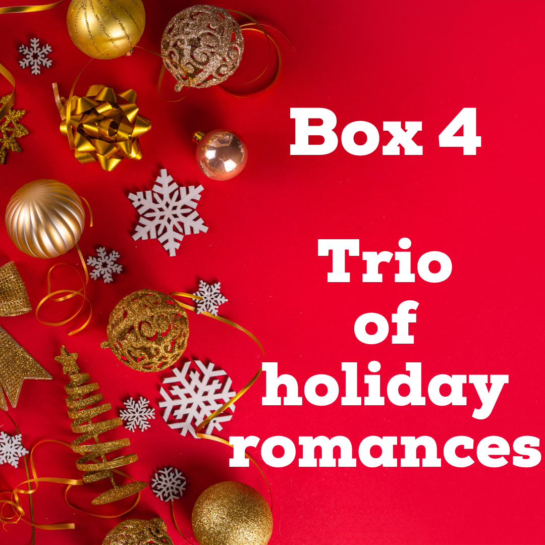 Christmas Mystery Box Boxes