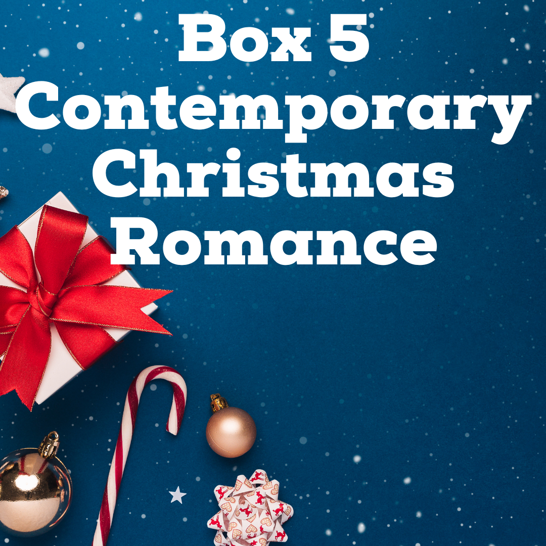 Christmas Mystery Box Boxes