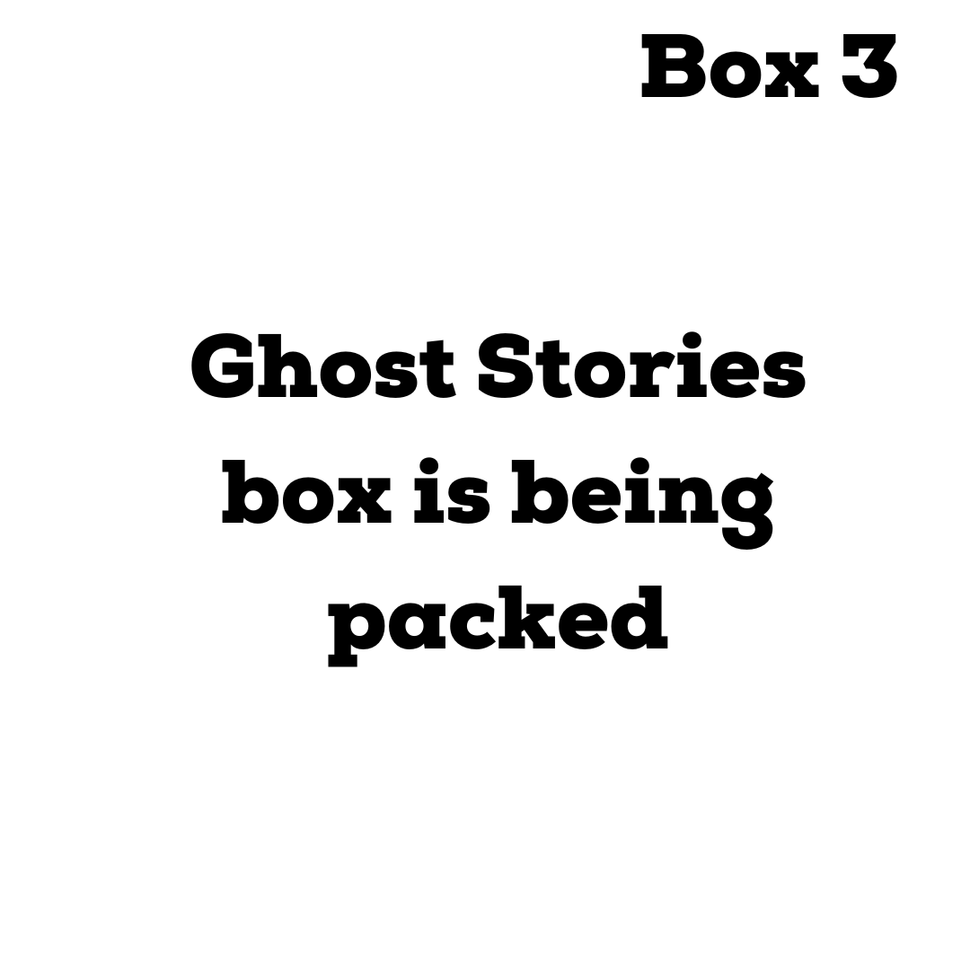 Mystery Book Box