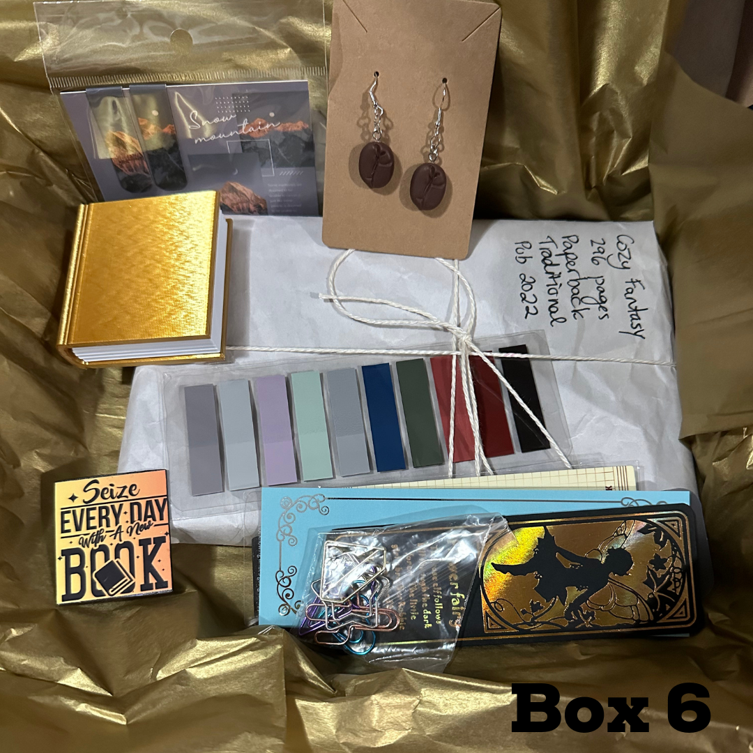 Mystery Book Box