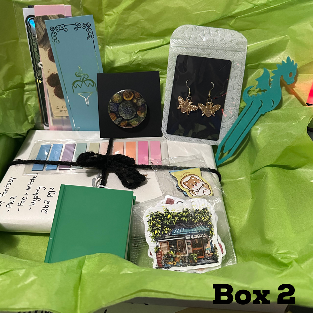 Mystery Book Box